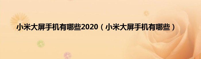 小米大屏手机有哪些2020（小米大屏手机有哪些）