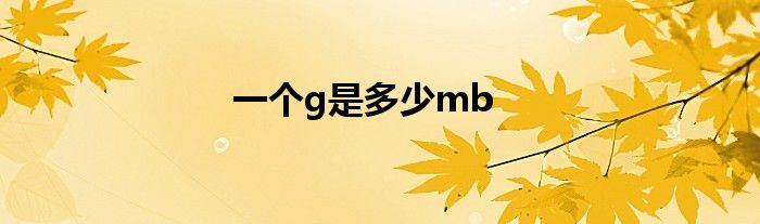 一个g是多少mb