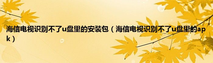 海信电视识别不了u盘里的安装包（海信电视识别不了u盘里的apk）