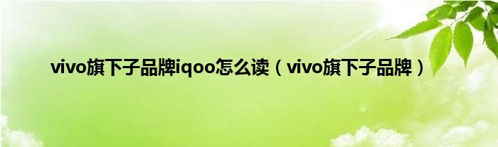 vivo旗下子品牌iqoo怎么读（vivo旗下子品牌）