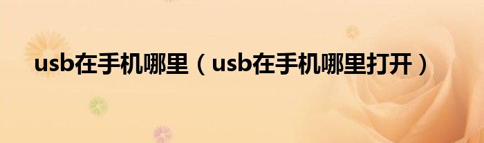 usb在手机哪里（usb在手机哪里打开）