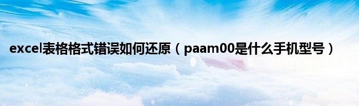 excel表格格式错误如何还原（paam00是什么手机型号）