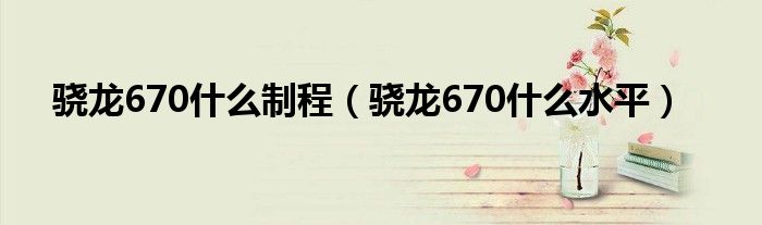 骁龙670什么制程（骁龙670什么水平）