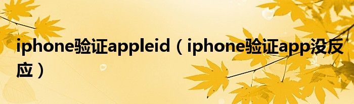 iphone验证appleid（iphone验证app没反应）