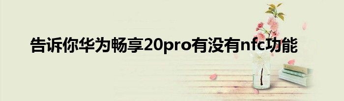 告诉你华为畅享20pro有没有nfc功能