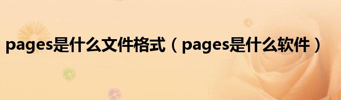 pages是什么文件格式（pages是什么软件）