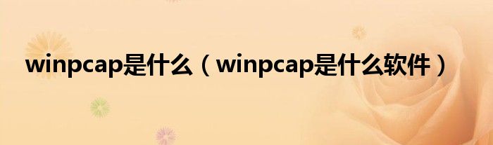 winpcap是什么（winpcap是什么软件）