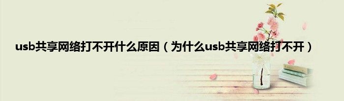 usb共享网络打不开什么原因（为什么usb共享网络打不开）