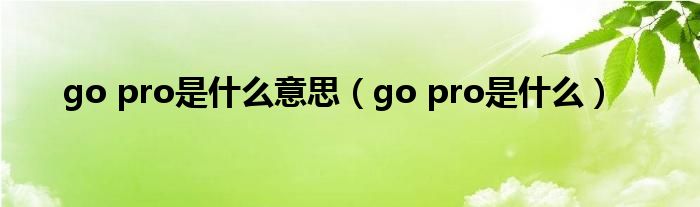 go pro是什么意思（go pro是什么）