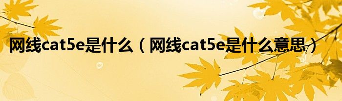 网线cat5e是什么（网线cat5e是什么意思）