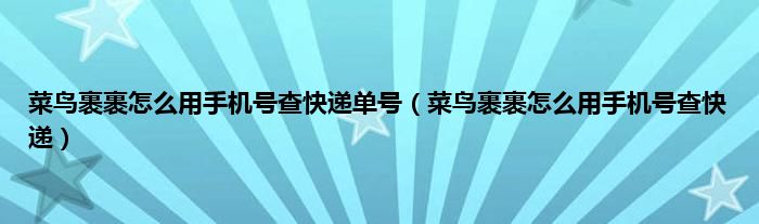 菜鸟裹裹怎么用手机号查快递单号（菜鸟裹裹怎么用手机号查快递）