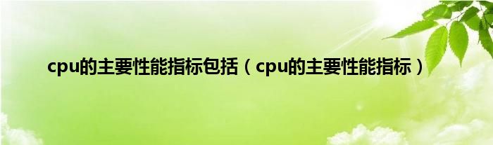 cpu的主要性能指标包括（cpu的主要性能指标）