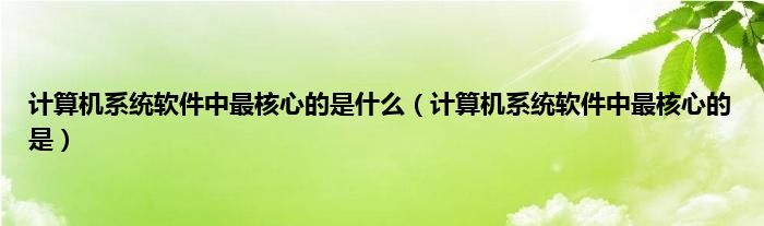 计算机系统软件中最核心的是什么（计算机系统软件中最核心的是）