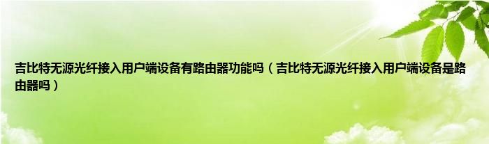 吉比特无源光纤接入用户端设备有路由器功能吗（吉比特无源光纤接入用户端设备是路由器吗）