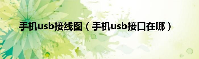 手机usb接线图（手机usb接口在哪）