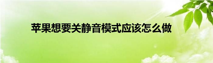 苹果想要关静音模式应该怎么做