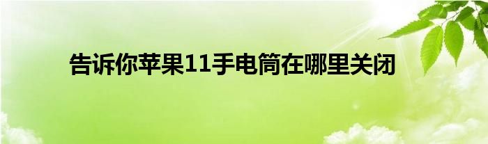 告诉你苹果11手电筒在哪里关闭