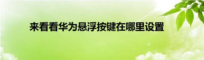 来看看华为悬浮按键在哪里设置