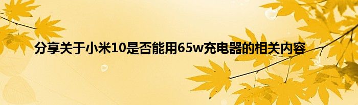 分享关于小米10是否能用65w充电器的相关内容