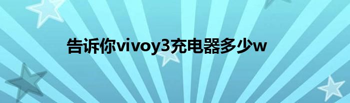 告诉你vivoy3充电器多少w