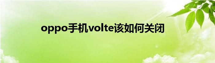 oppo手机volte该如何关闭