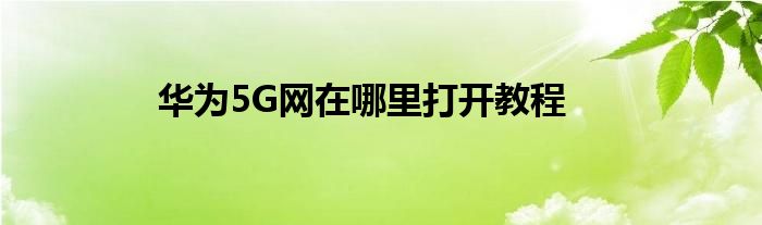 华为5G网在哪里打开教程