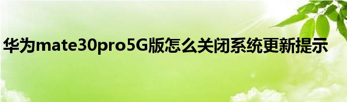 华为mate30pro5G版怎么关闭系统更新提示