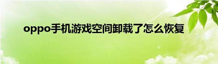 oppo手机游戏空间卸载了怎么恢复