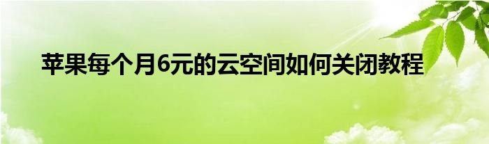 苹果每个月6元的云空间如何关闭教程