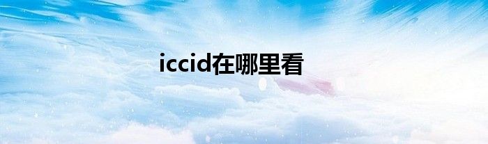 iccid在哪里看