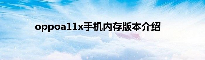 oppoa11x手机内存版本介绍