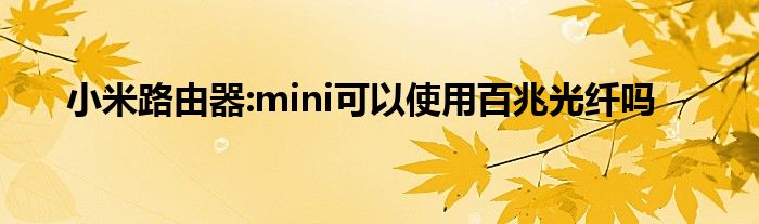 小米路由器:mini可以使用百兆光纤吗