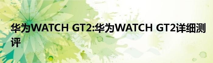 华为WATCH GT2:华为WATCH GT2详细测评