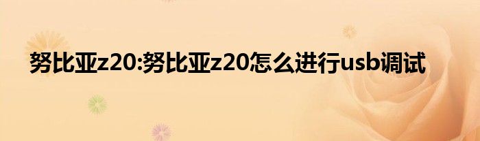 努比亚z20:努比亚z20怎么进行usb调试