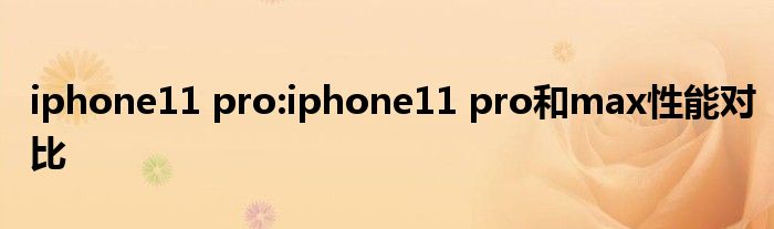 iphone11 pro:iphone11 pro和max性能对比