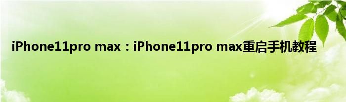 iPhone11pro max：iPhone11pro max重启手机教程