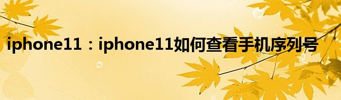 iphone11：iphone11如何查看手机序列号