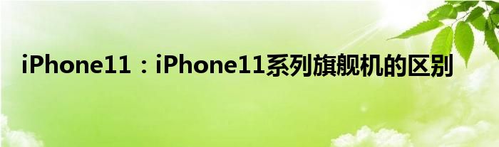 iPhone11：iPhone11系列旗舰机的区别