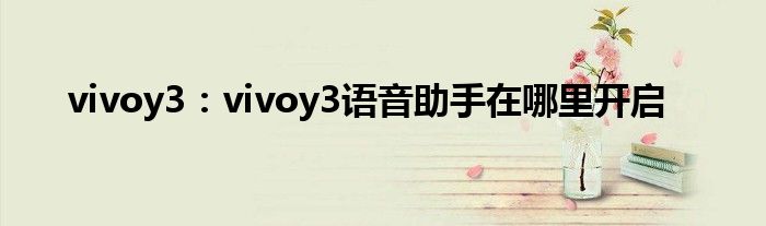 vivoy3：vivoy3语音助手在哪里开启