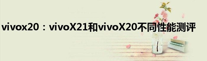 vivox20：vivoX21和vivoX20不同性能测评