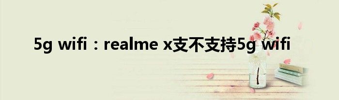 5g wifi：realme x支不支持5g wifi