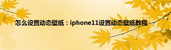 怎么设置动态壁纸：iphone11设置动态壁纸教程