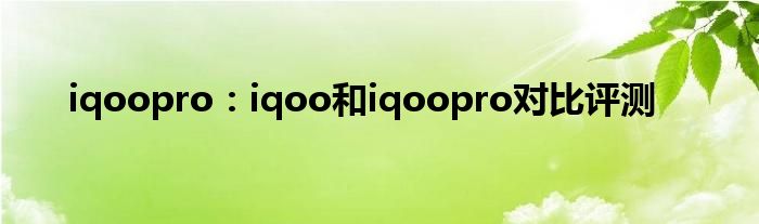 iqoopro：iqoo和iqoopro对比评测