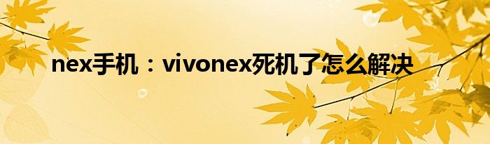 nex手机：vivonex死机了怎么解决