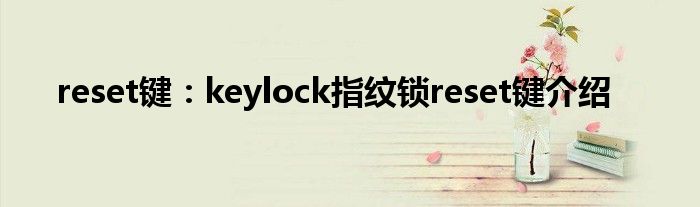 reset键：keylock指纹锁reset键介绍