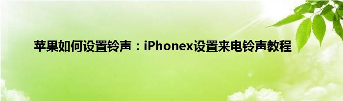 苹果如何设置铃声：iPhonex设置来电铃声教程