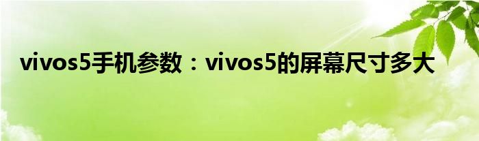 vivos5手机参数：vivos5的屏幕尺寸多大