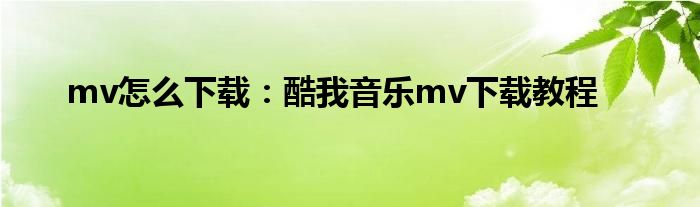 mv怎么下载：酷我音乐mv下载教程