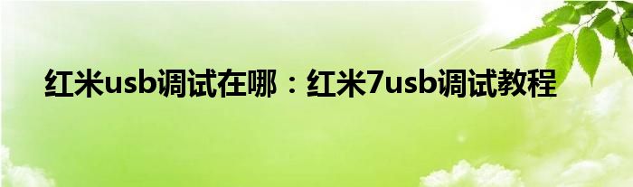 红米usb调试在哪：红米7usb调试教程