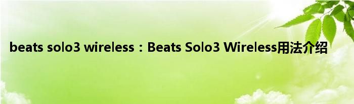 beats solo3 wireless：Beats Solo3 Wireless用法介绍